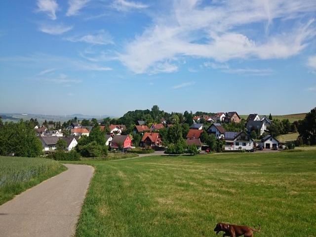 Ferienwohnung Maifeld Wierschem Eksteriør billede